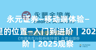 永元证券—移动端体验—榜单里的位置—入门到进阶｜2025观察